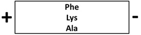 Określanie struktury aminokwasów przy danej wartości pH roztworu