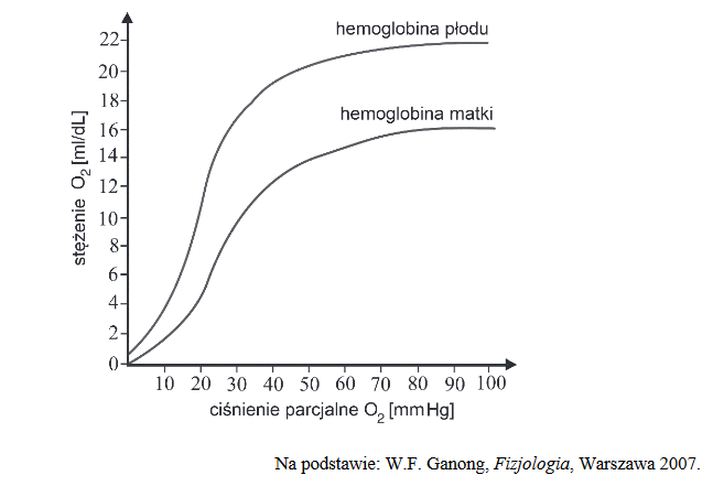 dysocjacja hemoglobiny płodu i hemoglobiny matki
