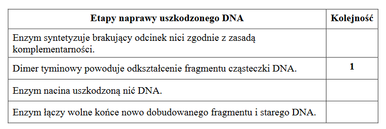 mechanizm naprawy uszkodzonego DNA