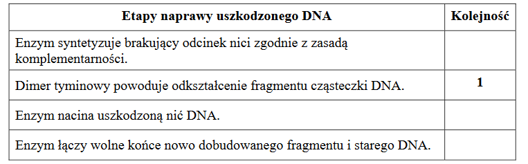 mechanizm naprawy uszkodzonego DNA