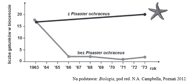 rozgwiazda Pisaster ochraceus i jej wpływ na biocenozę