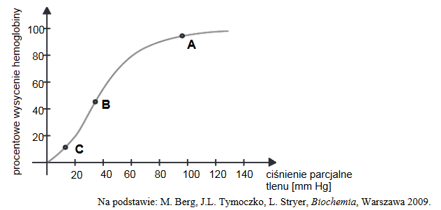 zależność między wysyceniem hemoglobiny tlenem a ciśnieniem parcjalnym tlenu