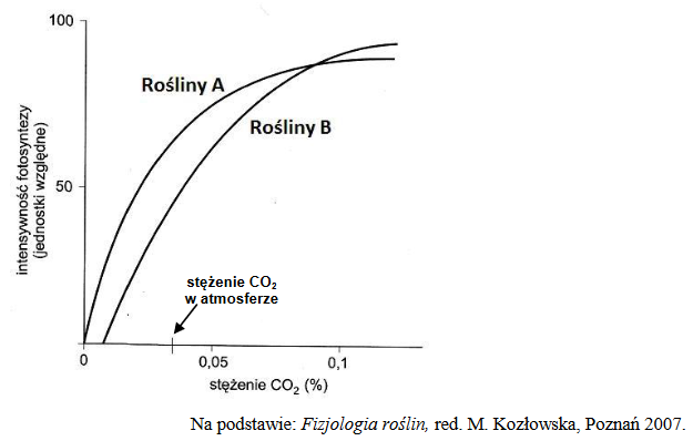 wpływ stężenia CO2 na intensywność fotosyntezy