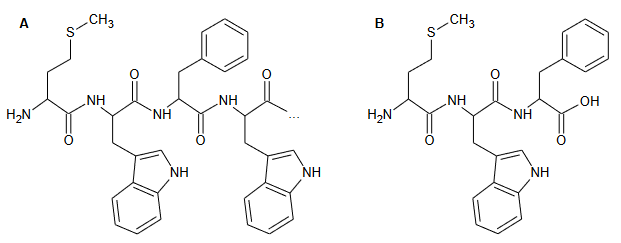 sekwencja aminokwasowa polipeptydu